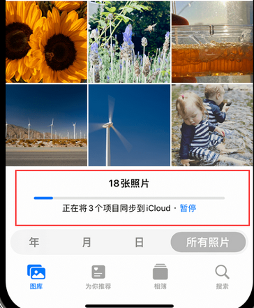 揭阳苹果手机服务如何解决iPhone照片无法同步到 'iCloud 照片'