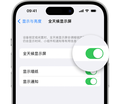 揭阳苹果15预约维修分享iPhone15如何设置全天候显示屏幕可见 