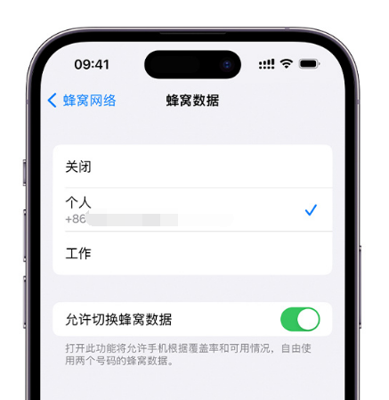 揭阳苹果维修服务分享如何在iPhone上使用双卡 